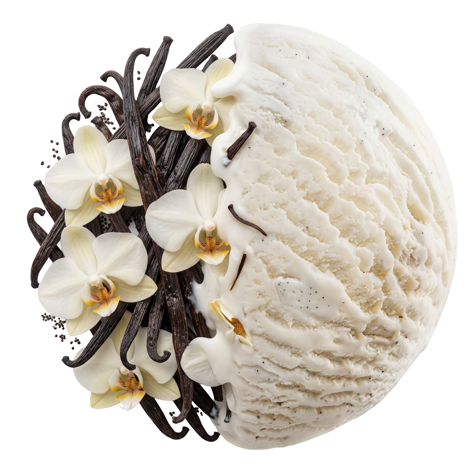 No Sugar Vanilla Ice Cream